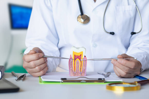 Best Same-Day Emergency Dental Services in Castle Point, MO
